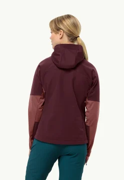 Brisstal Hoody W
