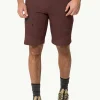 Ziegspitz Shorts M