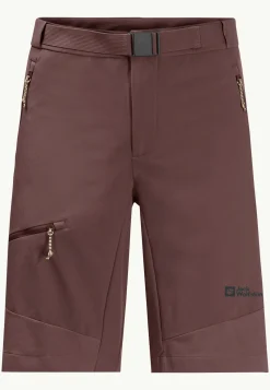 Ziegspitz Shorts M